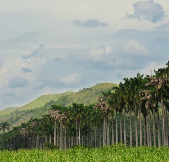 Туры в Дель Ориноко 2025 - цены на путевки в Венесуэлу из Москвы от туроператора «Пегас Туристик» Туры в Дель Ориноко 2025 - цены на путевки в Венесуэлу из Москвы от туроператора «Пегас Туристик»