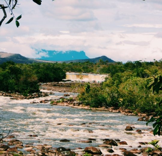 Туры в Дель Ориноко 2025 - цены на путевки в Венесуэлу из Москвы от туроператора «Пегас Туристик» Туры в Дель Ориноко 2025 - цены на путевки в Венесуэлу из Москвы от туроператора «Пегас Туристик»
