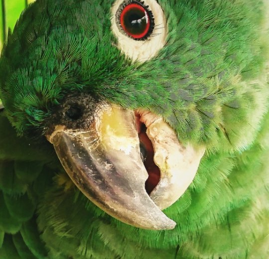 Туры в Каракас 2025 - цены на путевки в Венесуэлу из Москвы от туроператора «Пегас Туристик» Туры в Каракас 2025 - цены на путевки в Венесуэлу из Москвы от туроператора «Пегас Туристик»