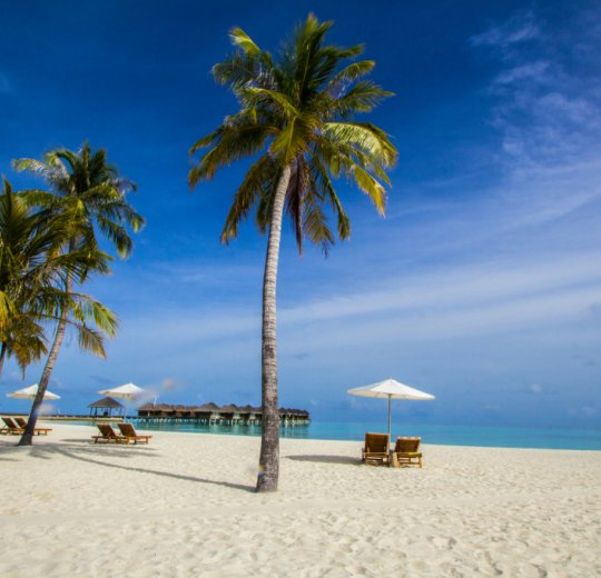 Пляжный отдых Пляжный отдых