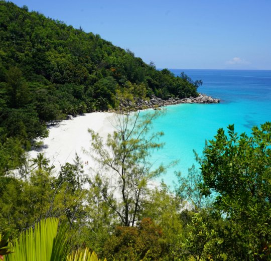 Майские праздники Майские праздники