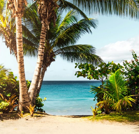 Школьные каникулы Школьные каникулы