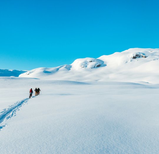 Горнолыжные туры