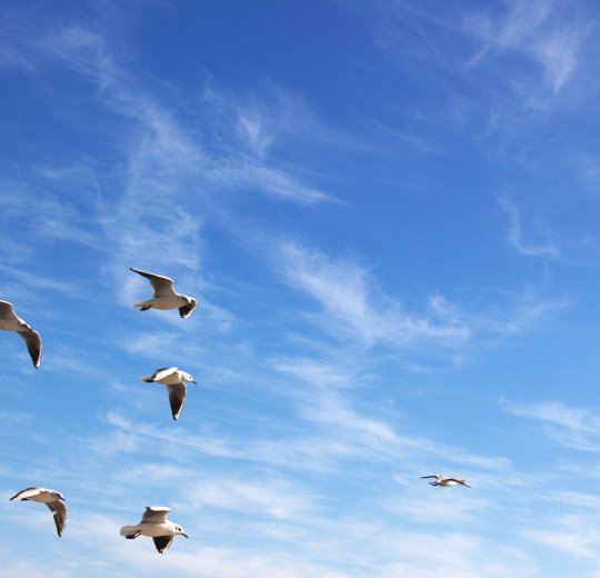 Туры в Азербайджан 2025 из Москвы - цена на отдых от туроператора «Пегас Туристик» Туры в Азербайджан 2025 из Москвы - цена на отдых от туроператора «Пегас Туристик»