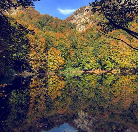 Туры в Азербайджан 2025 из Москвы - цена на отдых от туроператора «Пегас Туристик» Туры в Азербайджан 2025 из Москвы - цена на отдых от туроператора «Пегас Туристик»