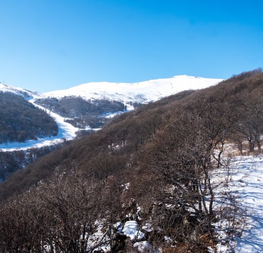 Туры  2025 - цены на путевки в Армению из Москвы от туроператора «Пегас Туристик»