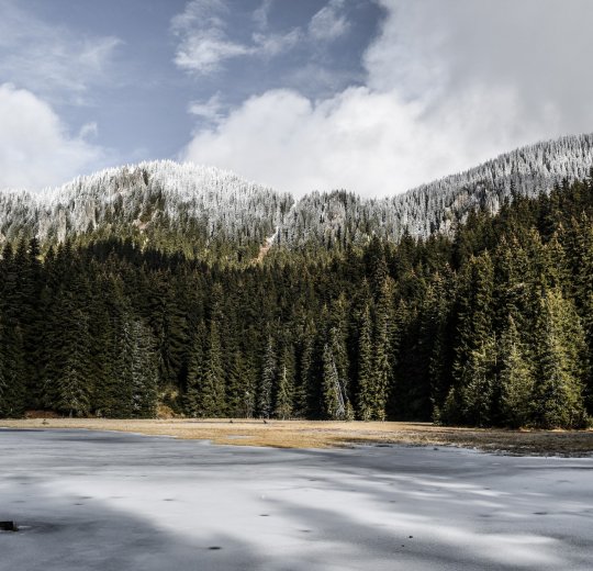 Туры в Албену 2025 - цены на путевки в Болгарию из Москвы от туроператора «Пегас Туристик» Туры в Албену 2025 - цены на путевки в Болгарию из Москвы от туроператора «Пегас Туристик»