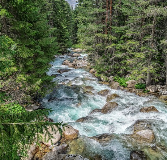 Туры в Банско 2025 - цены на путевки в Болгарию из Москвы от туроператора «Пегас Туристик» Туры в Банско 2025 - цены на путевки в Болгарию из Москвы от туроператора «Пегас Туристик»