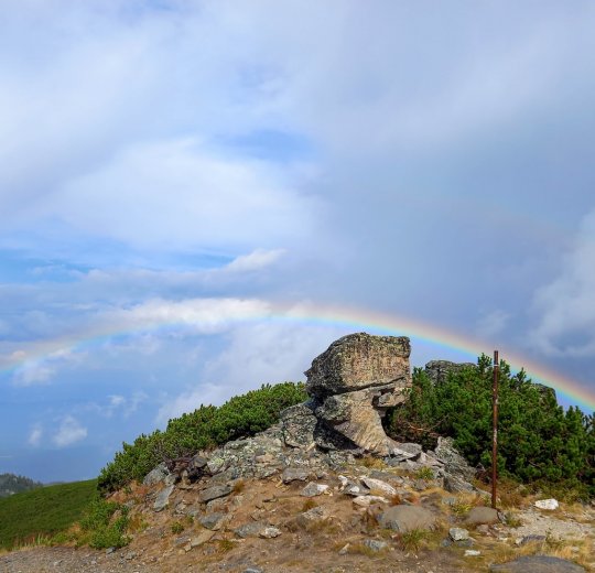 Туры в Боровец 2025 - цены на путевки в Болгарию из Москвы от туроператора «Пегас Туристик»