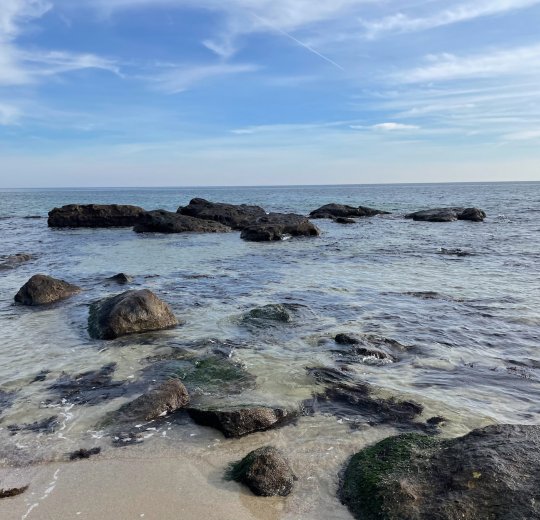 Туры в Варну 2025 - цены на путевки в Болгарию из Москвы от туроператора «Пегас Туристик» Туры в Варну 2025 - цены на путевки в Болгарию из Москвы от туроператора «Пегас Туристик»