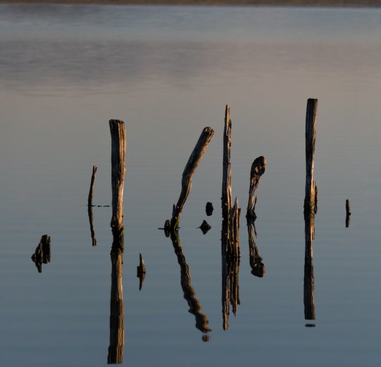 Туры в Поморие 2025 - цены на путевки в Болгарию из Москвы от туроператора «Пегас Туристик» Туры в Поморие 2025 - цены на путевки в Болгарию из Москвы от туроператора «Пегас Туристик»