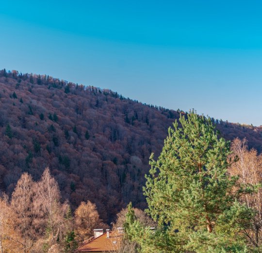 Туры в Приморско 2025 - цены на путевки в Болгарию из Москвы от туроператора «Пегас Туристик» Туры в Приморско 2025 - цены на путевки в Болгарию из Москвы от туроператора «Пегас Туристик»