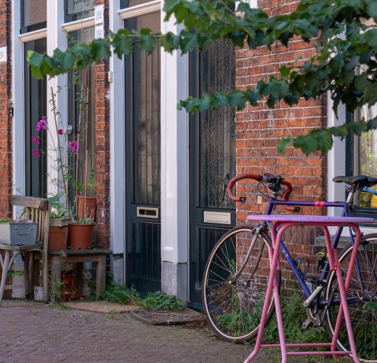 Туры на Солнечный День 2025 - цены на путевки в Болгарию из Москвы от туроператора «Пегас Туристик»