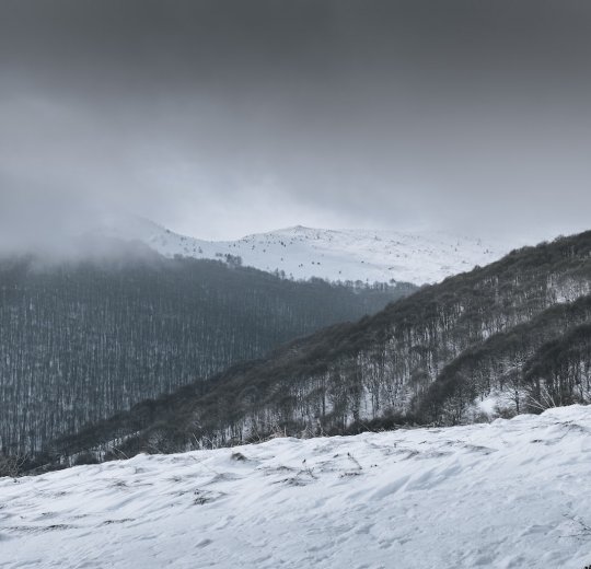Туры в Софию 2025 - цены на путевки в Болгарию из Москвы от туроператора «Пегас Туристик» Туры в Софию 2025 - цены на путевки в Болгарию из Москвы от туроператора «Пегас Туристик»