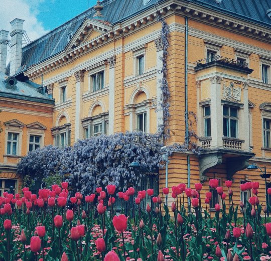 Туры в Софию 2025 - цены на путевки в Болгарию из Москвы от туроператора «Пегас Туристик» Туры в Софию 2025 - цены на путевки в Болгарию из Москвы от туроператора «Пегас Туристик»