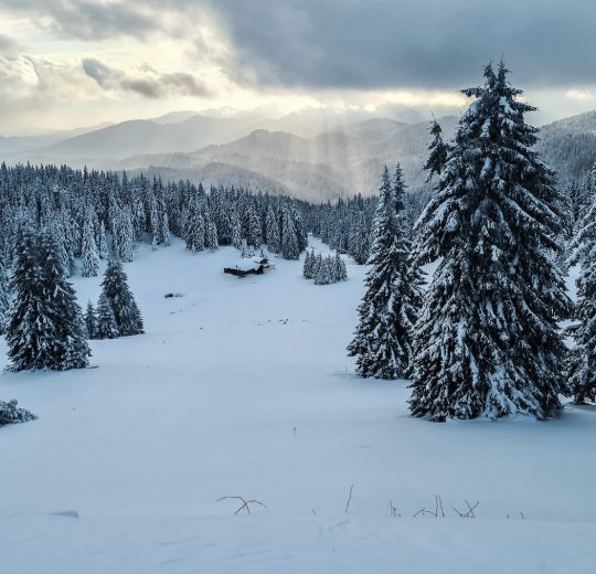 Туры в Пампорово 2025 - цены на путевки в Болгарию из Москвы от туроператора «Пегас Туристик» Туры в Пампорово 2025 - цены на путевки в Болгарию из Москвы от туроператора «Пегас Туристик»