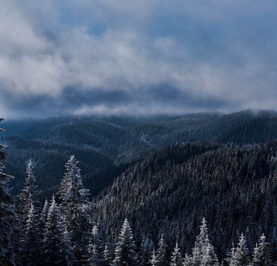 Туры в Пампорово 2025 - цены на путевки в Болгарию из Москвы от туроператора «Пегас Туристик» Туры в Пампорово 2025 - цены на путевки в Болгарию из Москвы от туроператора «Пегас Туристик»