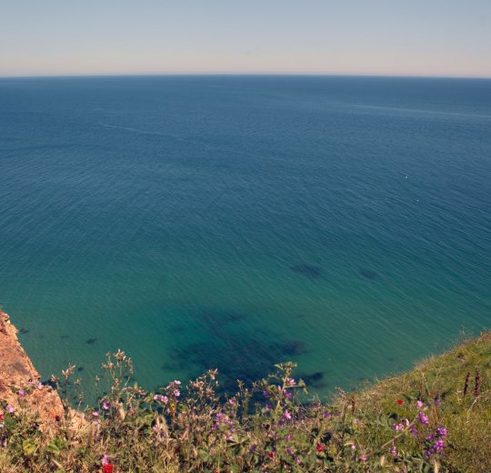 Туры в Пампорово 2025 - цены на путевки в Болгарию из Москвы от туроператора «Пегас Туристик» Туры в Пампорово 2025 - цены на путевки в Болгарию из Москвы от туроператора «Пегас Туристик»