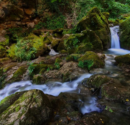 Туры в Пампорово 2025 - цены на путевки в Болгарию из Москвы от туроператора «Пегас Туристик» Туры в Пампорово 2025 - цены на путевки в Болгарию из Москвы от туроператора «Пегас Туристик»
