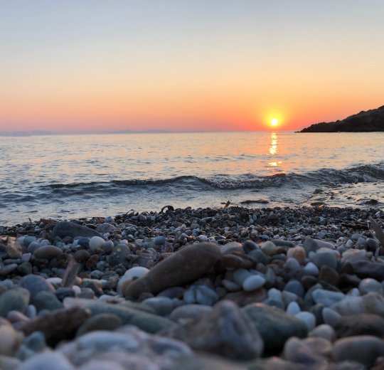 Туры в Ривьеру 2025 - цены на путевки в Болгарию из Москвы от туроператора «Пегас Туристик» Туры в Ривьеру 2025 - цены на путевки в Болгарию из Москвы от туроператора «Пегас Туристик»