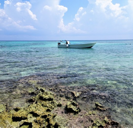 Туры в Ривьеру 2025 - цены на путевки в Болгарию из Москвы от туроператора «Пегас Туристик» Туры в Ривьеру 2025 - цены на путевки в Болгарию из Москвы от туроператора «Пегас Туристик»