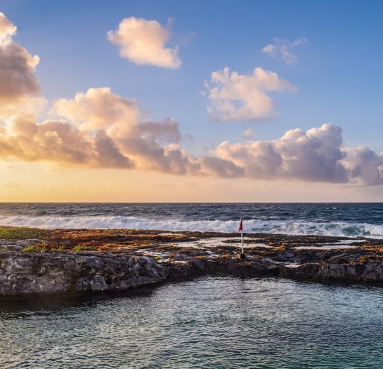 Туры в Ривьеру 2025 - цены на путевки в Болгарию из Москвы от туроператора «Пегас Туристик» Туры в Ривьеру 2025 - цены на путевки в Болгарию из Москвы от туроператора «Пегас Туристик»