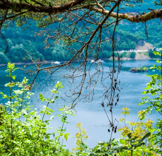 Туры в Дюни 2025 - цены на путевки в Болгарию из Москвы от туроператора «Пегас Туристик» Туры в Дюни 2025 - цены на путевки в Болгарию из Москвы от туроператора «Пегас Туристик»