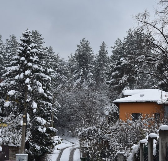 Туры в Кранево 2025 - цены на путевки в Болгарию из Москвы от туроператора «Пегас Туристик»