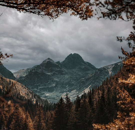 Туры в Кранево 2025 - цены на путевки в Болгарию из Москвы от туроператора «Пегас Туристик»