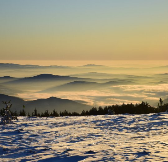 Туры на курорт Золотые Пески 2025 - цены на путевки в Болгарию из Москвы от туроператора «Пегас Туристик»