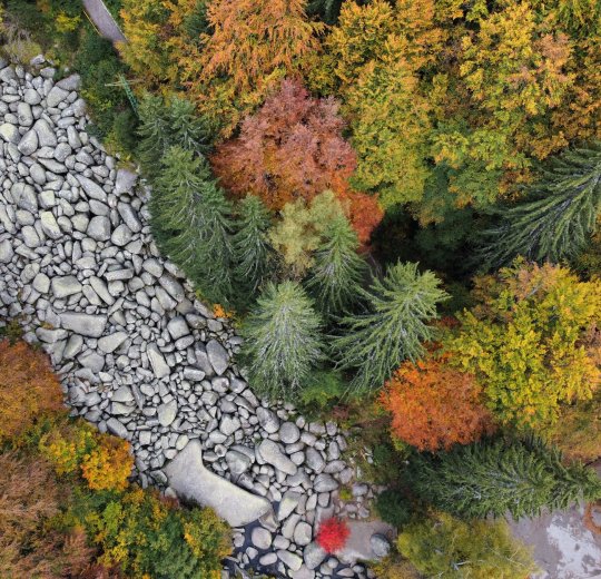 Туры на Солнечный Берег 2025 - цены на путевки в Болгарию из Москвы от туроператора «Пегас Туристик»