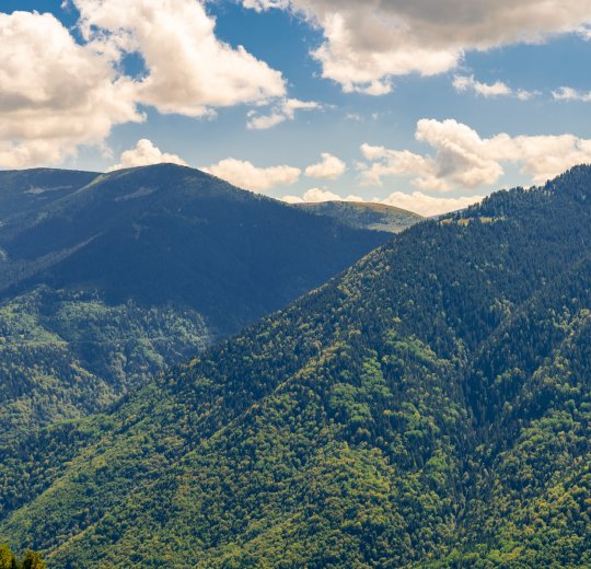 Туры на Солнечный Берег 2025 - цены на путевки в Болгарию из Москвы от туроператора «Пегас Туристик»
