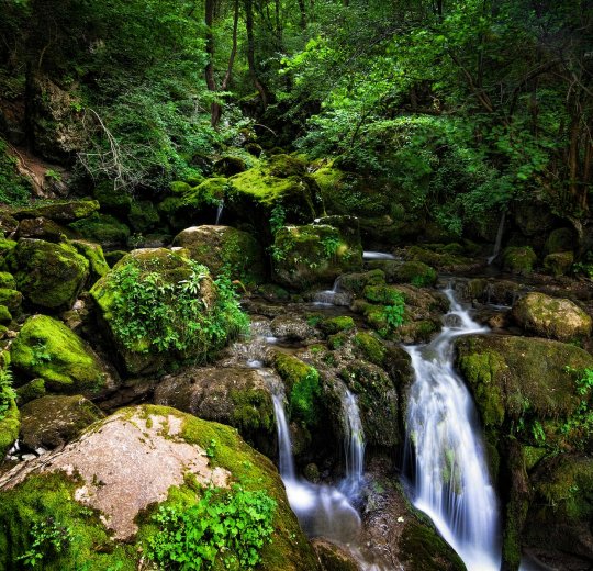 Туры в Царево 2025 - цены на путевки в Болгарию из Москвы от туроператора «Пегас Туристик» Туры в Царево 2025 - цены на путевки в Болгарию из Москвы от туроператора «Пегас Туристик»