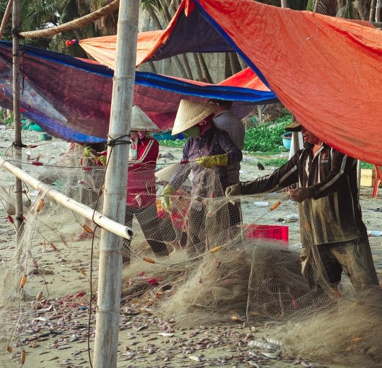 Туры в Фантьет 2025 - цены на путевки во Вьетнам из Москвы от туроператора «Пегас Туристик» Туры в Фантьет 2025 - цены на путевки во Вьетнам из Москвы от туроператора «Пегас Туристик»