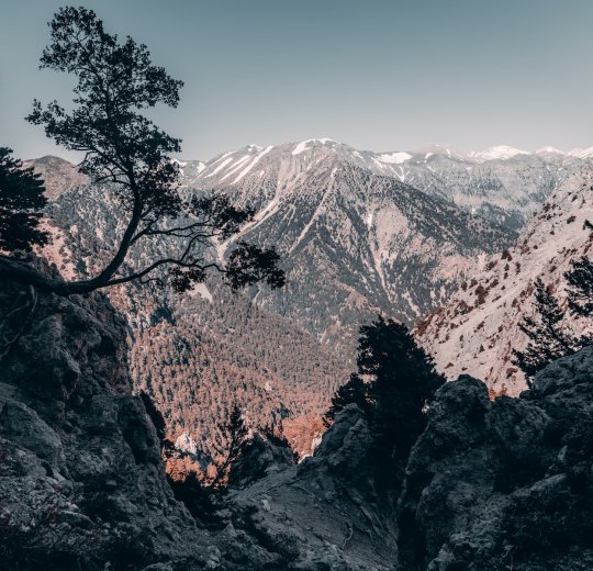 Туры на о. Крит 2025 - цены на путевки в Грецию из Москвы от туроператора «Пегас Туристик»