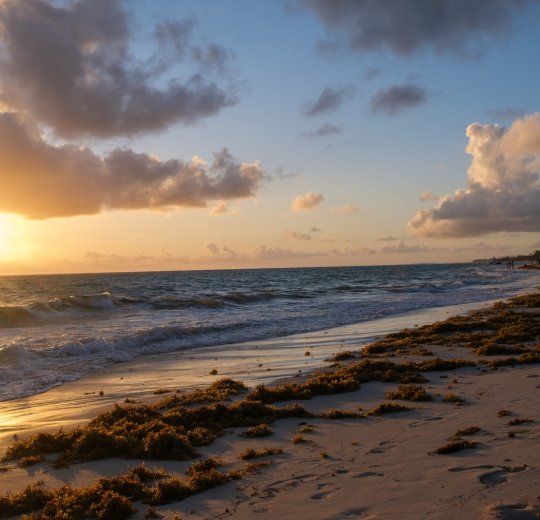 Туры в Доминикану 2025 из Москвы - цена на отдых от туроператора «Пегас Туристик» Туры в Доминикану 2025 из Москвы - цена на отдых от туроператора «Пегас Туристик»