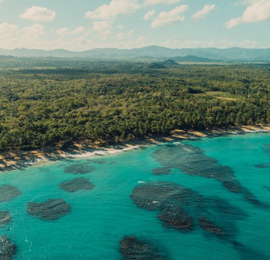 Туры в Доминикану 2025 из Москвы - цена на отдых от туроператора «Пегас Туристик» Туры в Доминикану 2025 из Москвы - цена на отдых от туроператора «Пегас Туристик»