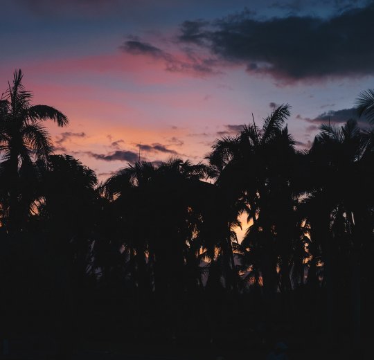 Туры в Доминикану 2025 из Москвы - цена на отдых от туроператора «Пегас Туристик» Туры в Доминикану 2025 из Москвы - цена на отдых от туроператора «Пегас Туристик»