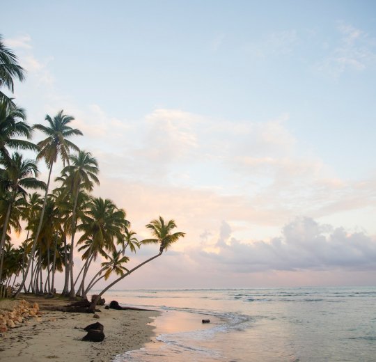 Туры в Доминикану 2025 из Москвы - цена на отдых от туроператора «Пегас Туристик» Туры в Доминикану 2025 из Москвы - цена на отдых от туроператора «Пегас Туристик»