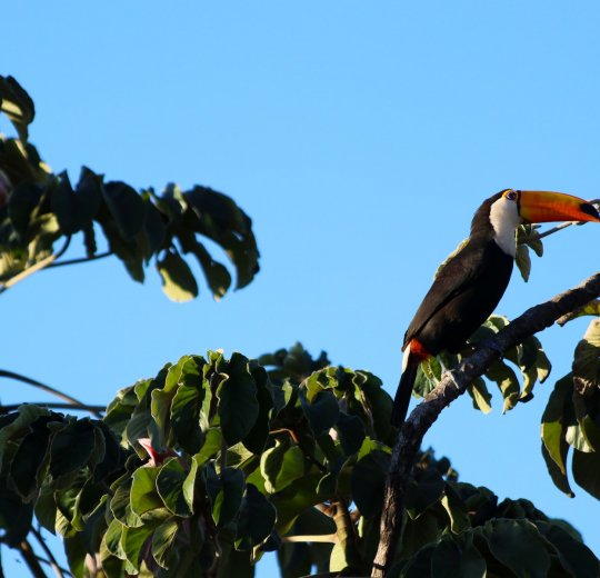 Туры в Уверо Альто 2025 - цены на путевки в Доминикану из Москвы от туроператора «Пегас Туристик»