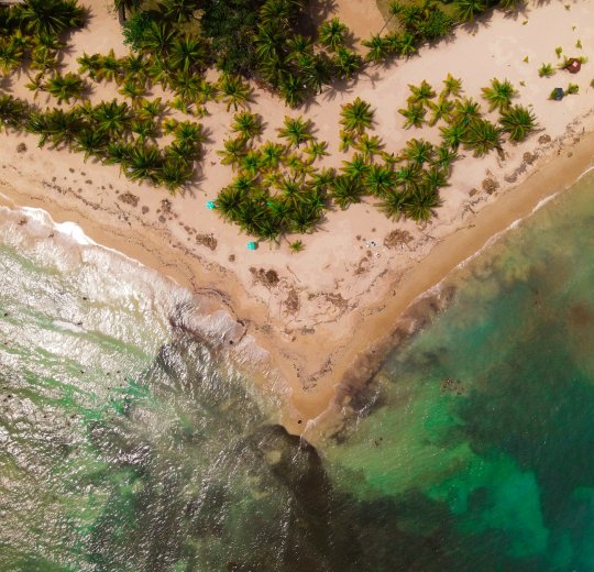 Туры в Хуан Долио 2025 - цены на путевки в Доминикану из Москвы от туроператора «Пегас Туристик» Туры в Хуан Долио 2025 - цены на путевки в Доминикану из Москвы от туроператора «Пегас Туристик»