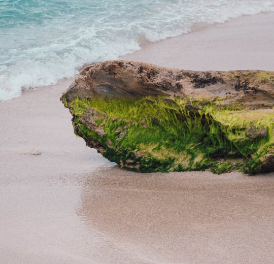 Туры в Хуан Долио 2025 - цены на путевки в Доминикану из Москвы от туроператора «Пегас Туристик» Туры в Хуан Долио 2025 - цены на путевки в Доминикану из Москвы от туроператора «Пегас Туристик»