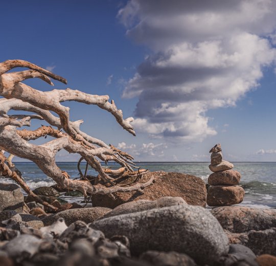 Туры в Кап Кану 2025 - цены на путевки в Доминикану из Москвы от туроператора «Пегас Туристик» Туры в Кап Кану 2025 - цены на путевки в Доминикану из Москвы от туроператора «Пегас Туристик»