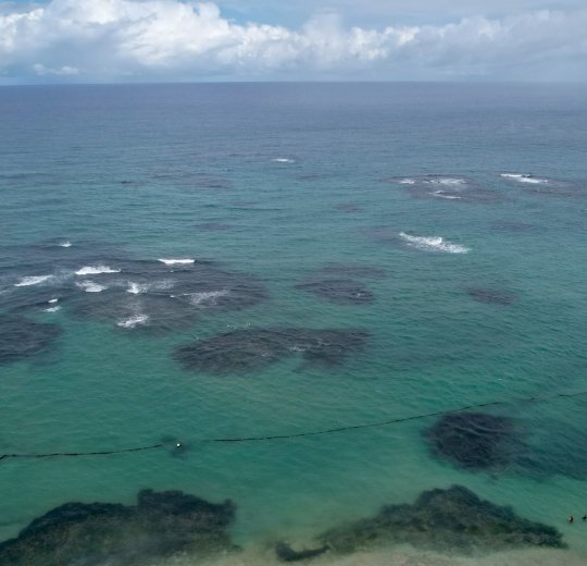 Туры в Пуэрто Плата 2025 - цены на путевки в Доминикану из Москвы от туроператора «Пегас Туристик»