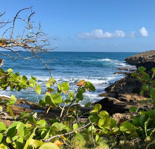 Туры в Пуэрто Плата 2025 - цены на путевки в Доминикану из Москвы от туроператора «Пегас Туристик»