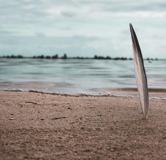 Туры в Санто Доминго 2025 - цены на путевки в Доминикану из Москвы от туроператора «Пегас Туристик» Туры в Санто Доминго 2025 - цены на путевки в Доминикану из Москвы от туроператора «Пегас Туристик»