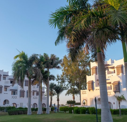 Туры в Египет 2025 из Москвы - цена на отдых от туроператора «Пегас Туристик» Туры в Египет 2025 из Москвы - цена на отдых от туроператора «Пегас Туристик»