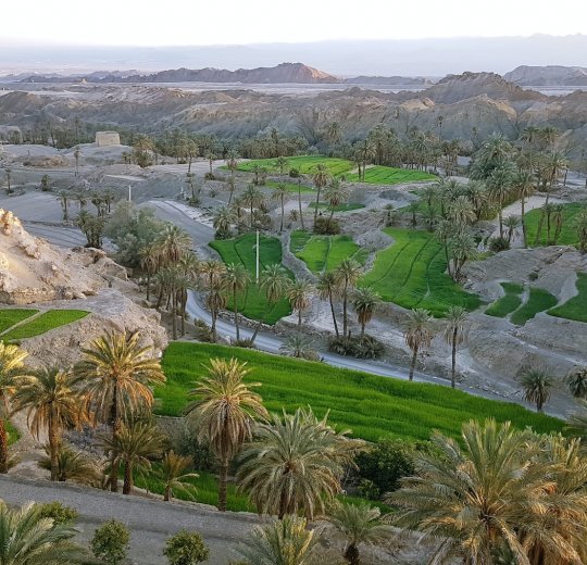 Туры в Табу 2025 - цены на путевки в Египет из Москвы от туроператора «Пегас Туристик»