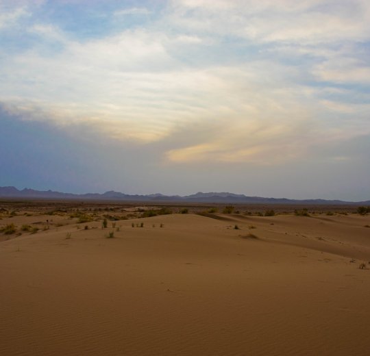 Туры в Табу 2025 - цены на путевки в Египет из Москвы от туроператора «Пегас Туристик»