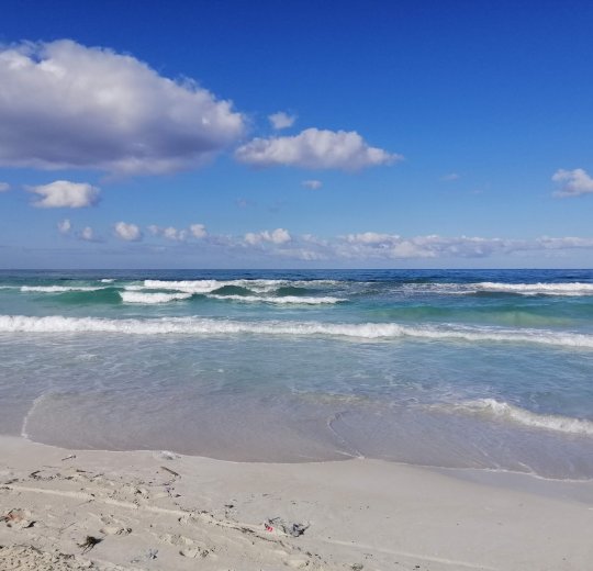 Туры в Александрию 2025 - цены на путевки в Египет из Москвы от туроператора «Пегас Туристик» Туры в Александрию 2025 - цены на путевки в Египет из Москвы от туроператора «Пегас Туристик»